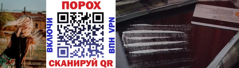 mega маркетплейс  Каменногорск  АМФ Premium 