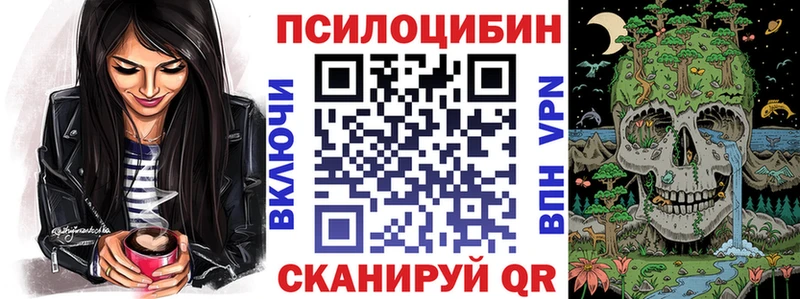 купить   Каменногорск  Псилоцибиновые грибы прущие грибы 